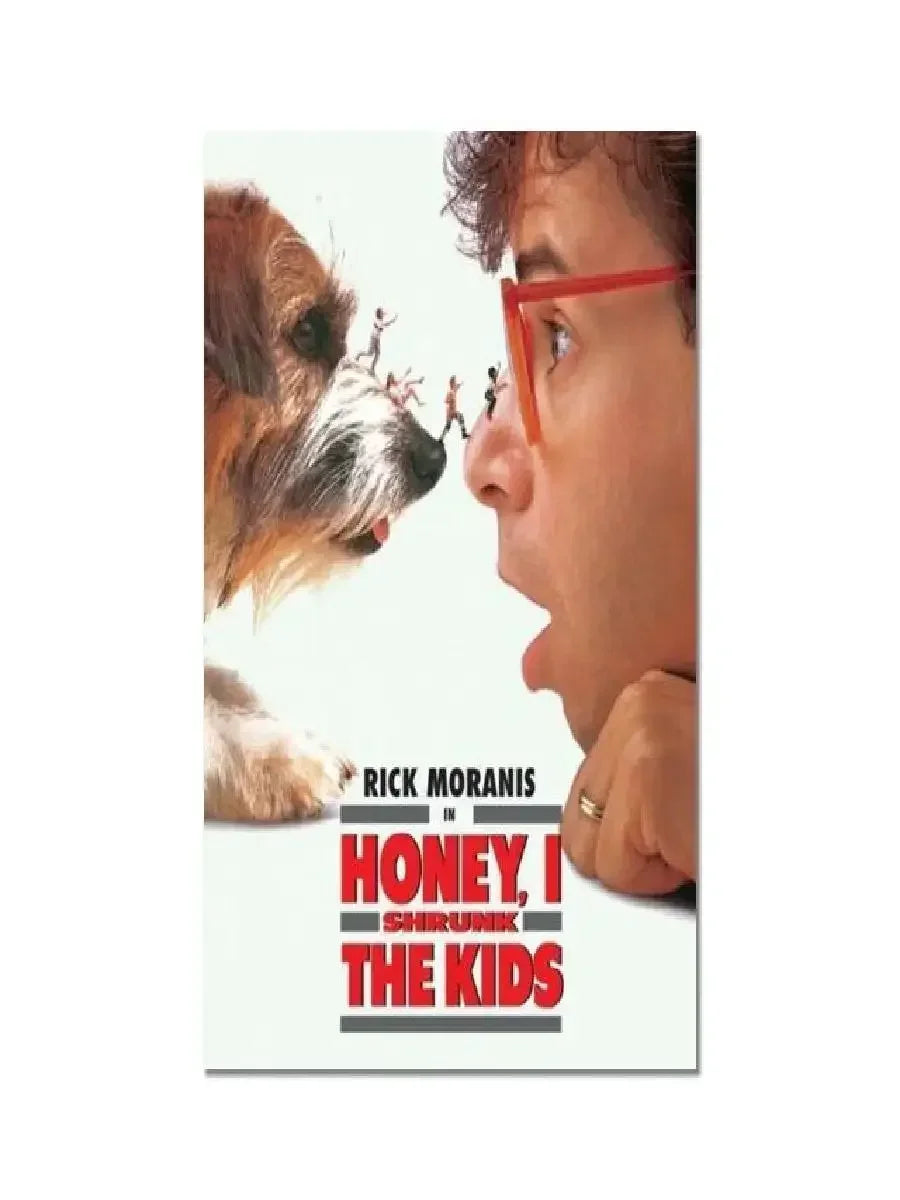 Affiche de film RETRO - FANA ZONE